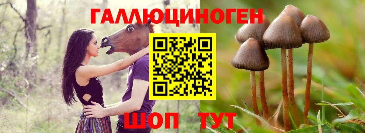 купить закладку  Вход с VPN  Бердск  Псилоцибиновые грибы мухоморы  Галлюциногенные грибы MAGIC MUSHROOMS 
