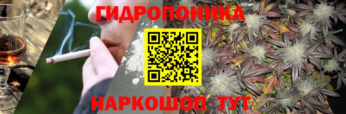 Бошки Шишки план  Шишки марихуана Ganja  Бердск  Бошки марихуана семена  Вход с VPN 